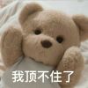 QQ1981008636(1981008636)QQ头像