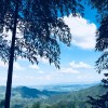 正宗大王山(270438977)QQ头像