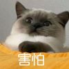 QQ854599784(854599784)QQ头像