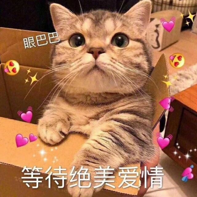QQ 头像