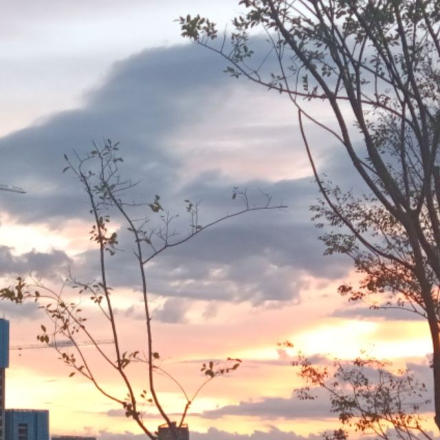 tx