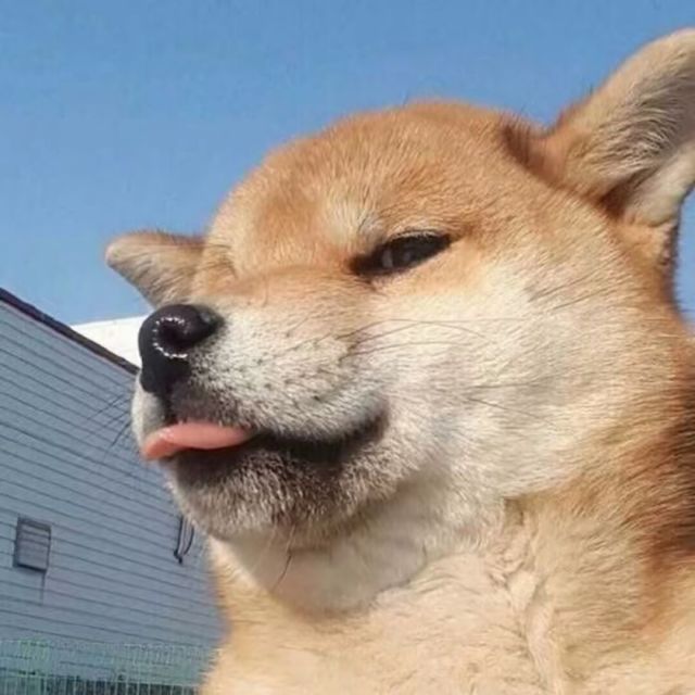 LuoYu