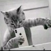 ������������������Դ���޹�˾