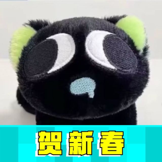 技术管理员