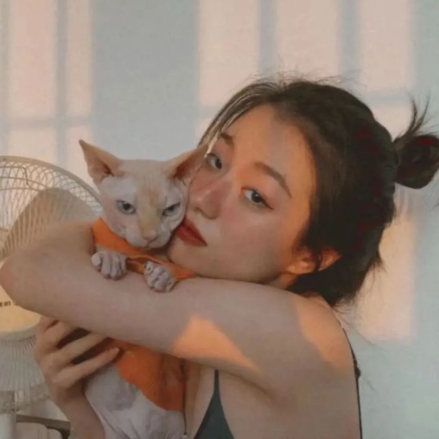 QQ 头像