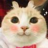�人�ջ��ž۹��̹������޹�˾