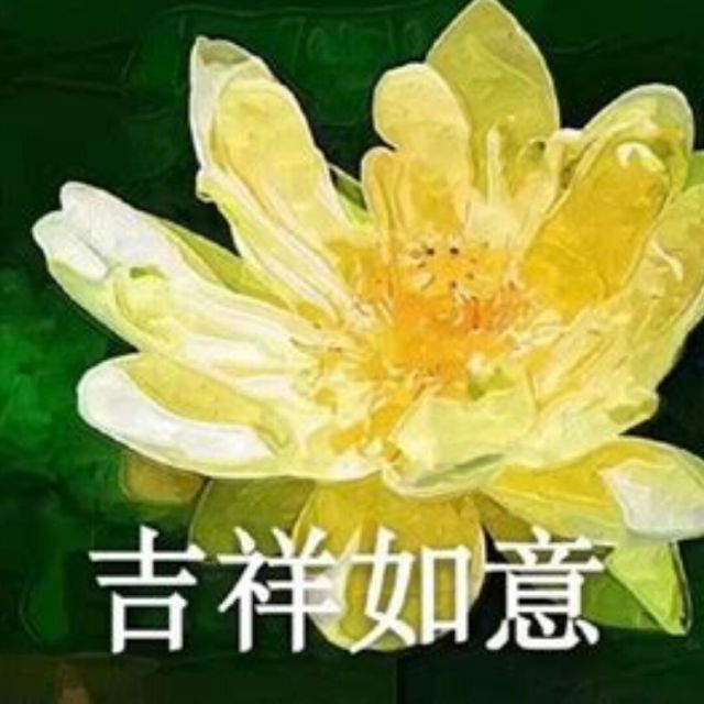 ruangong0704的头像-何先生