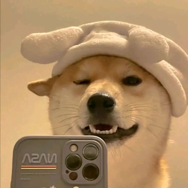 Profile Image of the Author