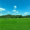 кʢ޹˾