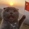 Ǻ꽨ѯ޹˾