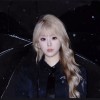 syj666的头像-好软猫