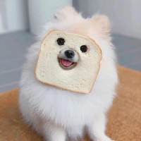 QQ 头像