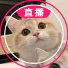 1737362488的头像-好软猫