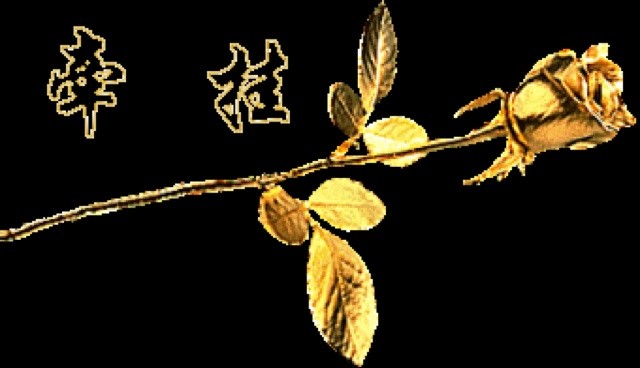 QQ 头像