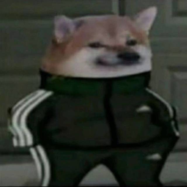Leech
