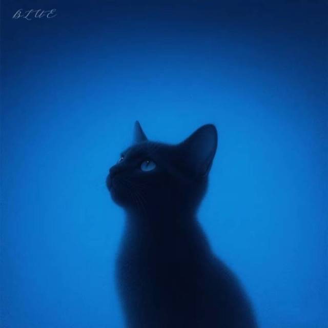 金佳怡的头像