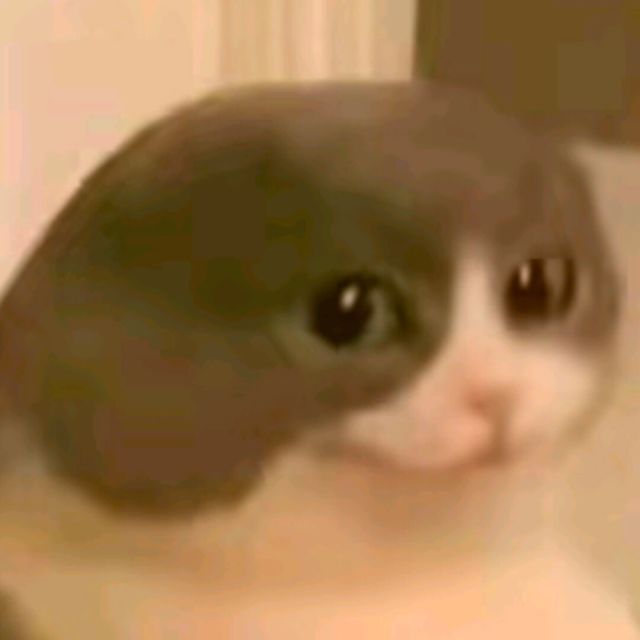 管理员