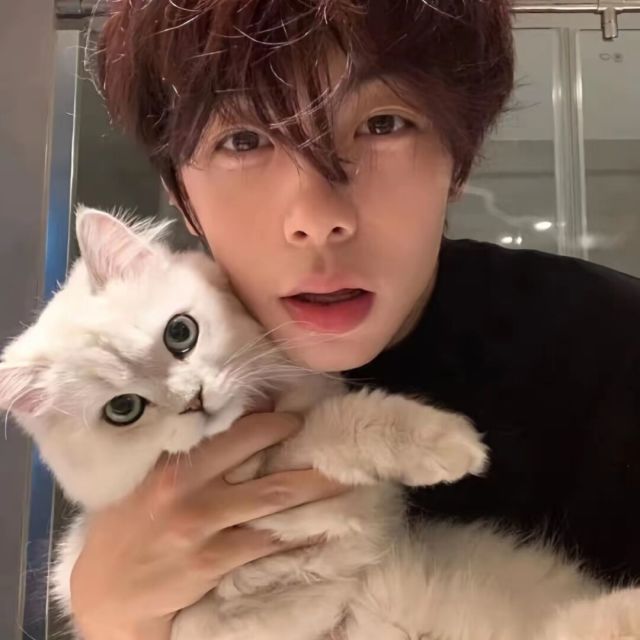 QQ 头像