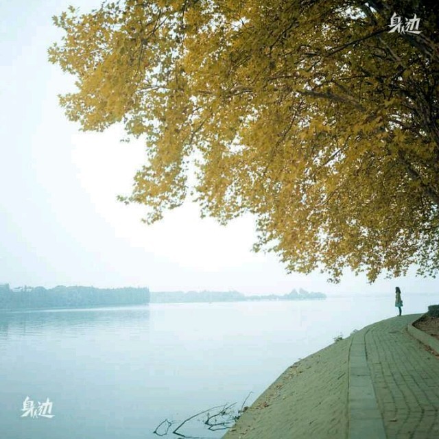 QQ 头像