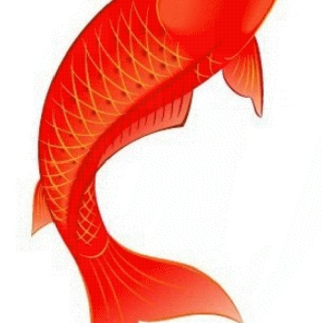 QQ 头像