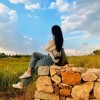 ïҵѯ޹˾