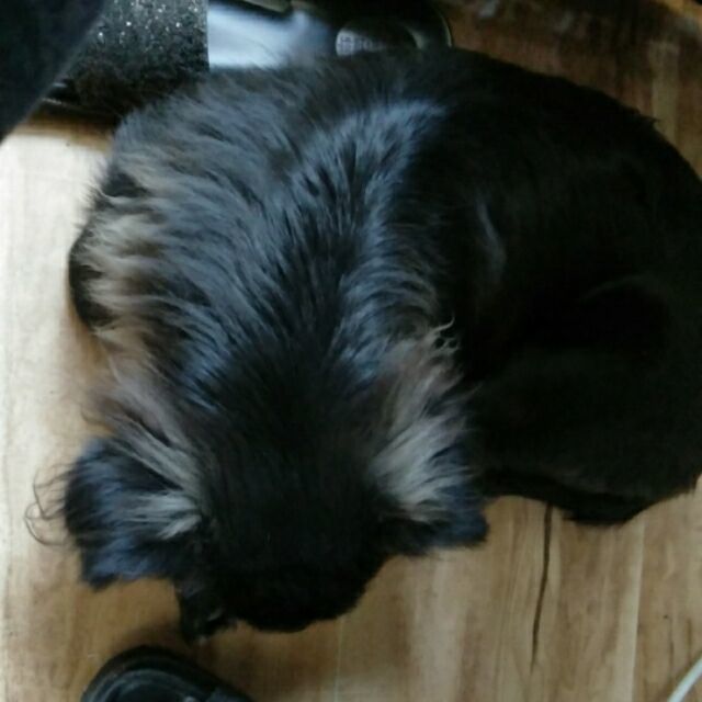 QQ 头像
