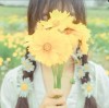 人ҵ޹˾