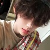 Wnt1113的头像-好软猫