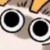 904