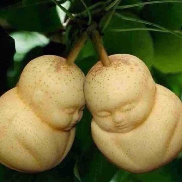 QQ 头像