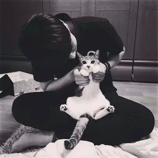 QQ 头像