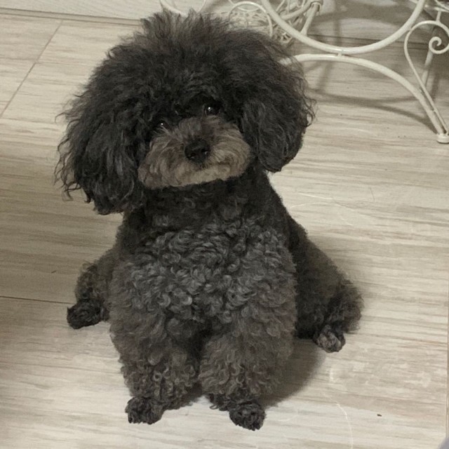 QQ 头像