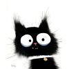 Lhh000510的头像-好软猫