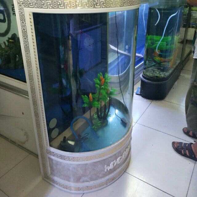 QQ 头像