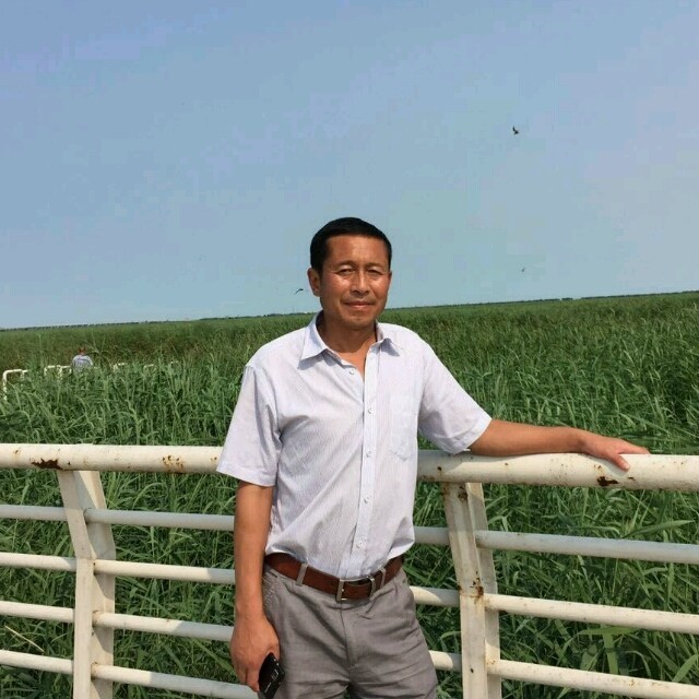 QQ 头像