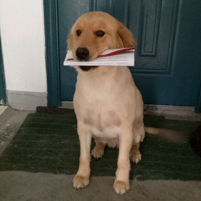 QQ 头像