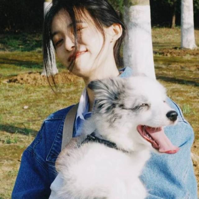 QQ 头像