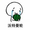 玩家P166910913