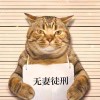 可愛的橙子