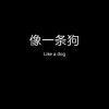 可以吸得CC