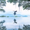 子不語工作室