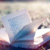 最后的書生