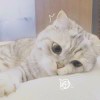 LiLiMei°