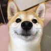 。