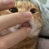 故事一人说☜1
