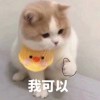 血花。头像