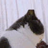 ヤ;拾憶灬メ