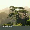 Gary宫召义