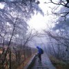 望月台丶白衣勝雪
