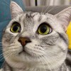 返璞归真
